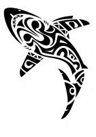 Melanesian shark tattoo photo