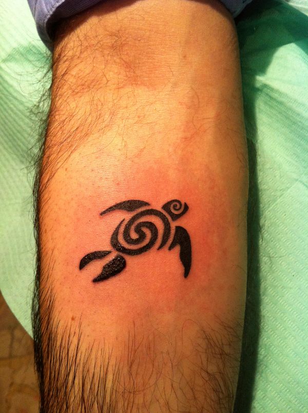 Donato - Flair turtle tattoo