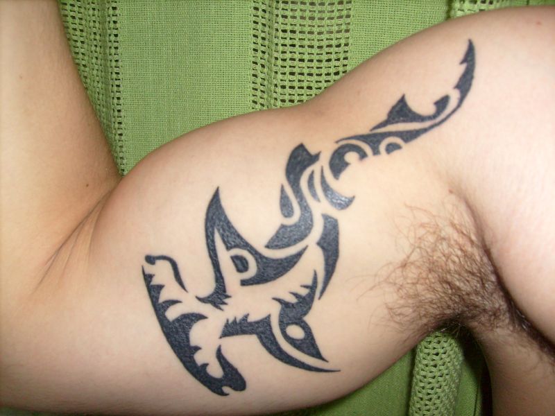 Edgard - Hammerhead shark tattoo photo