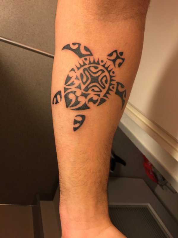 Ivo - VIVO turtle tattoo