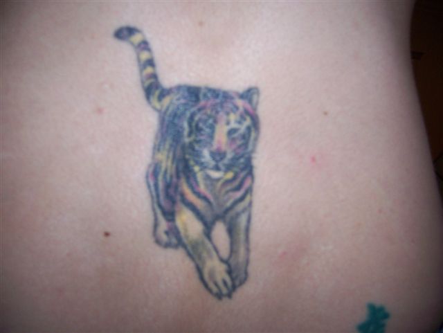 Jenna - tiger tattoo photo