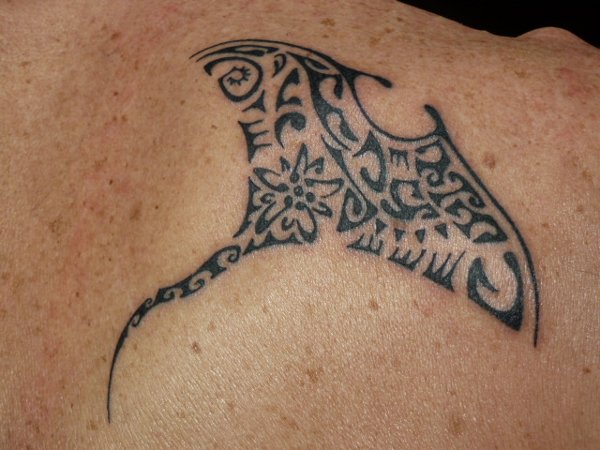 Mirko - Edelweiss manta tattoo photo