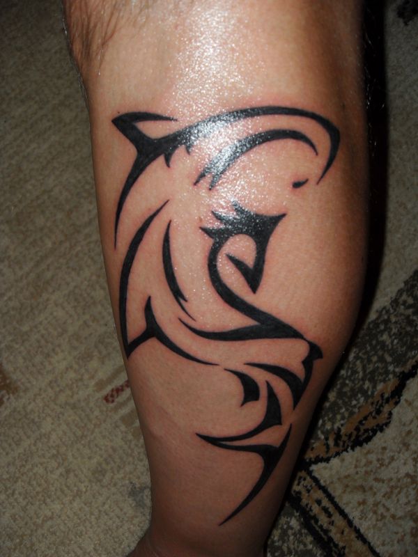 Piotr - Shark tattoo photo