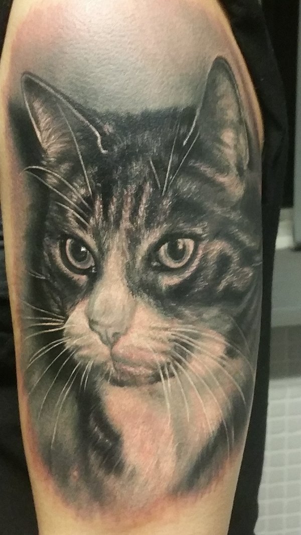 Sonja - Cat tattoo