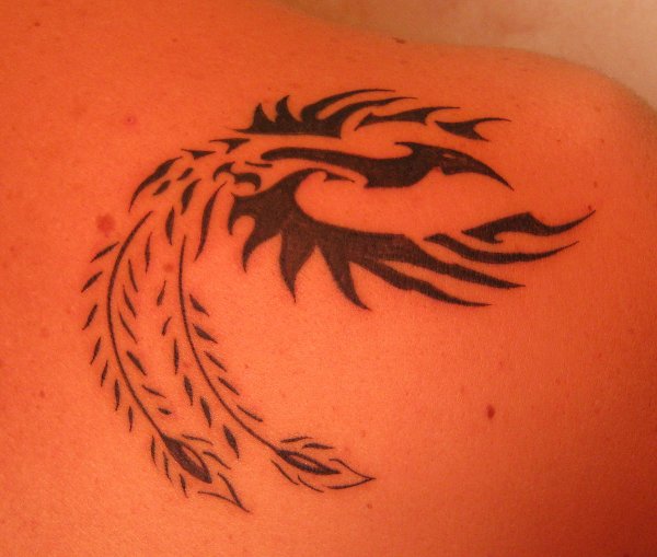 Stefano - Phoenix tattoo