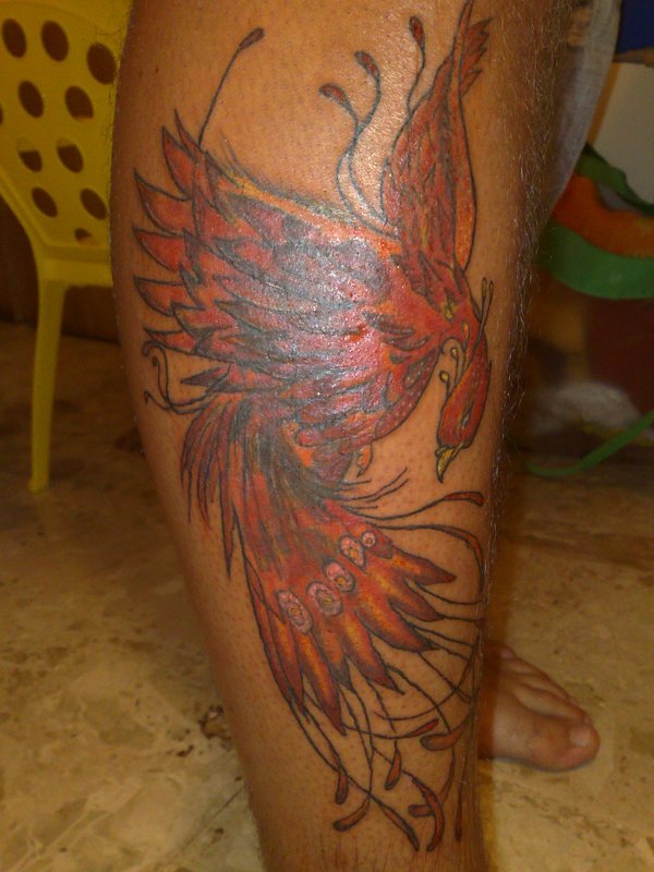 Tattoo H2O - Phoenix tattoo