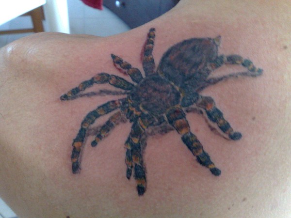 Tattoo H2O - Tarantula tattoo