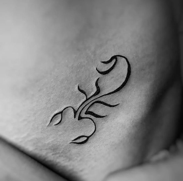 Guest - scorpion tattoo