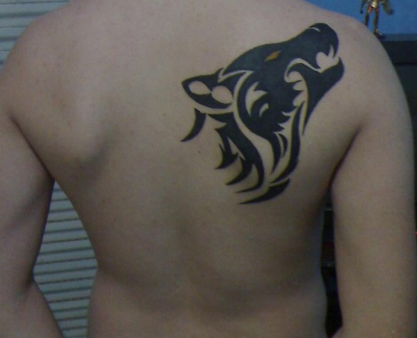 Jorge - Tribal wolf tattoo